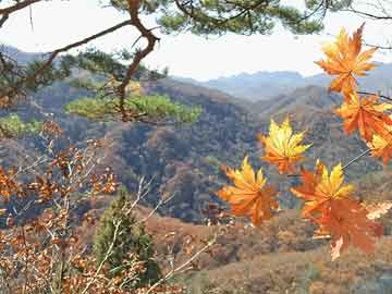 苏州汽车限行地图最新